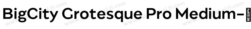 BigCity Grotesque Pro Medium字体转换